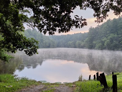 Shimek State Forest - Farmington, Iowa campground