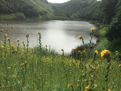 Skyline Wilderness County Park - Napa, California campground