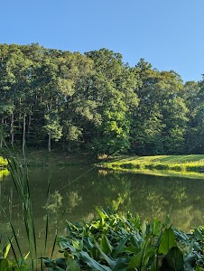 Res 26 - Greene - Sullivan State Forest - Linton, Indiana