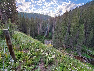 Burro Bridge - Dolores, Colorado campground