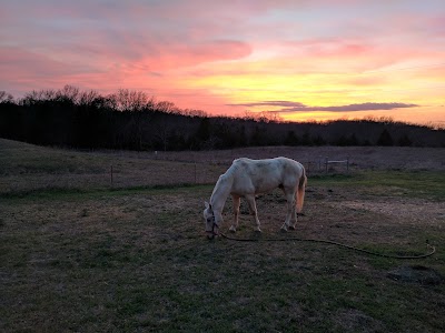 Field Trial Area - Lake Murray State Park - Ardmore, Oklahoma campground