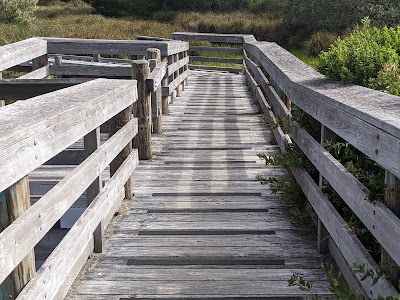 Waxmyrtle - Dunes City, Oregon campground