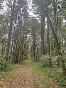 Stephens State Forest - Lucas, Iowa campground