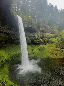 Silver Falls State Park - Sublimity, Oregon campground