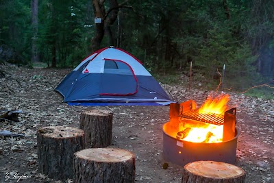 Goldfield - Trinity Center, California campground