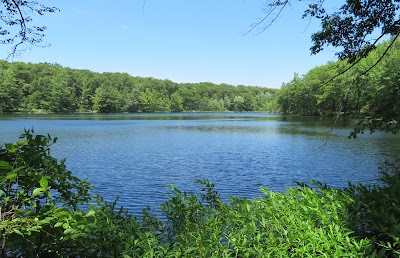 Sawkaw Lake - Bitely, Michigan campground