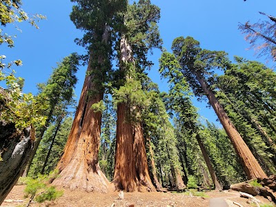 Gigantea - Shaver Lake, California campground