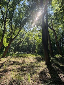 Middle River Forest Area - Dexter, Iowa campground