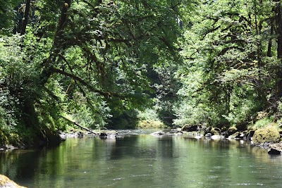 Dolly Varden - Fall Creek, Oregon campground