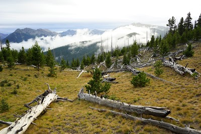 Deer Park - Olympic National Park - Port Angeles, Washington campground