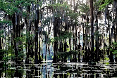 Teague Lake Primitive - Springhill, Louisiana campground