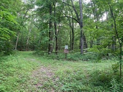 Quinn Springs Rec Area - Benton, Tennessee campground