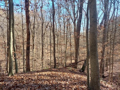 Trail of Tears State Forest - Jonesboro, Illinois campground