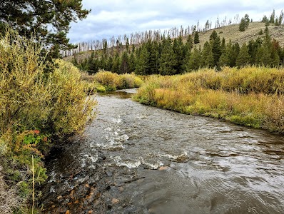 Pelton Creek - Centennial, Wyoming campground
