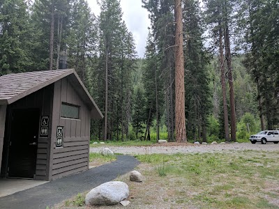 Ruffed Grouse - Winthrop, Washington campground