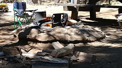 Shirttail Creek Family Campground - Foresthill, California