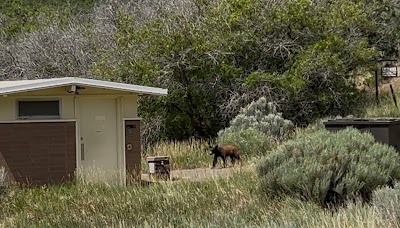 Morefield - Mesa Verde National Park - Mancos, Colorado campground
