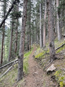Wigwam - Pine, Colorado campground