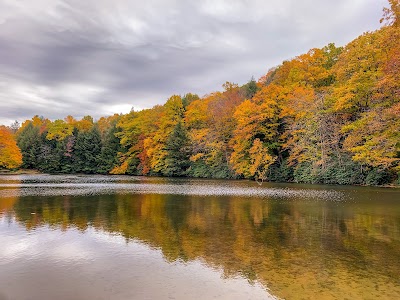 Kooser State Park - Somerset, Pennsylvania campground