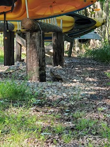 Potawatomi Rec Area - Union City, Michigan campground