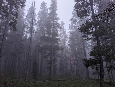 Beartrap - Casper Mountain Park - Casper, Wyoming campground