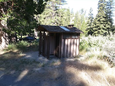 Lupine - Mt Baldy, California campground