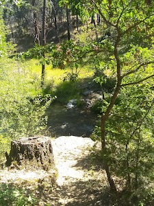 Sheill Gulch - Platina, California campground