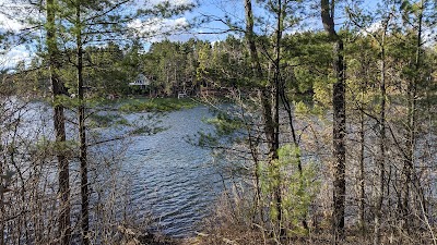 Little Wolf Lake - State Forest - Lewiston, Michigan campground