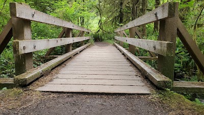 Hoh Rain Forest - Olympic National Park - Forks, Washington campground