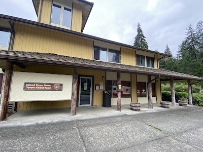Willaby - Quinault, Washington campground