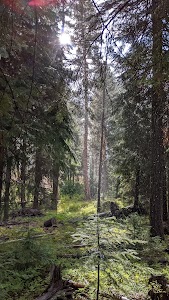 Wetmore - Unity, Oregon campground