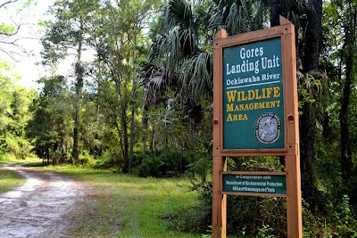 Gores Landing County Park - Fort McCoy, Florida