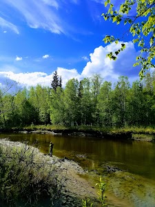 Whitefish - Lower Chatanika State Rec Area - Fairbanks, Alaska campground