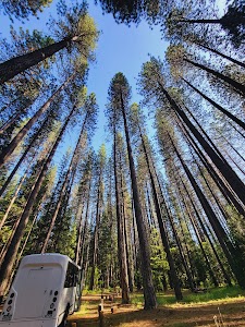 Greenville Community Campground - Greenville, California campground