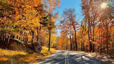 Morrow Mountain State Park campground