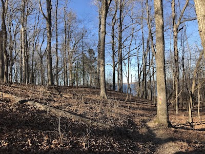 Cane Creek State park - Star City, Arkansas campground