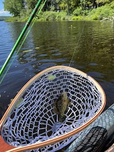 Moffitt Beach State Campground campground