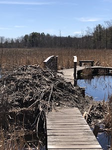 Teal Pond - Stonefort, Illinois campground