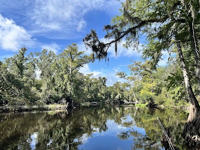 River Jct - Withlacoochee State Forest - Webster, Florida campground
