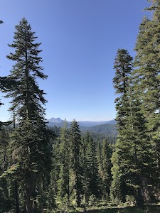 Fir Top - Sierraville, California campground
