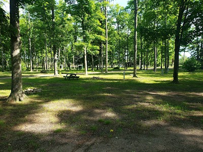 Kaleva Village Park - Kaleva, Michigan campground