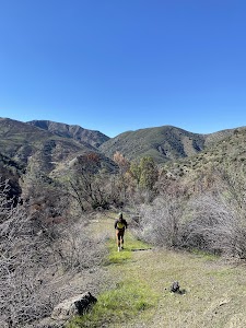 Davy Brown - Los Olivos, California campground