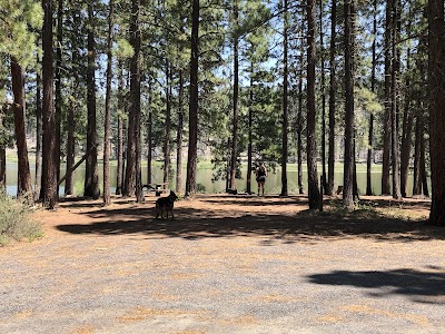 Dog Lake - Lakeview, Oregon campground