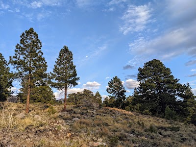 McMillan Springs - Torrey, Utah campground