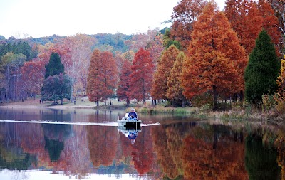 Ferdinand State Forest campground