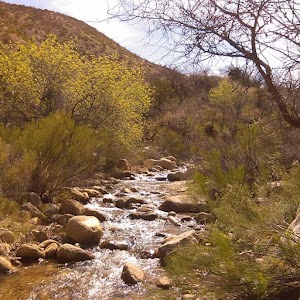 Ash Creek - Adin, California campground