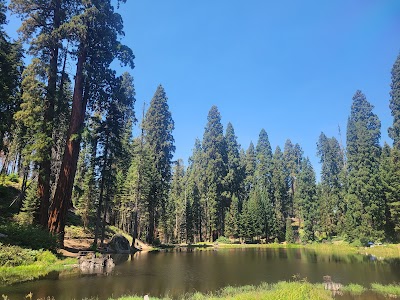 Balch Park - Springville, California campground
