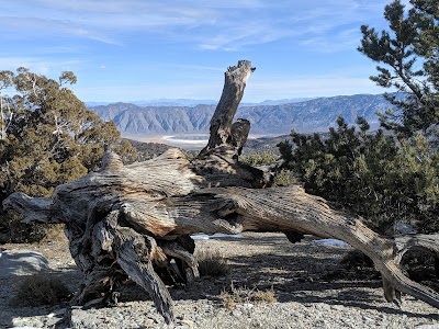 Grandview - Bishop, California campground