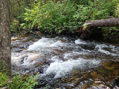 Gold Creek - Corvallis, Montana