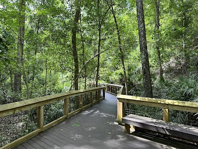 Mike Roess Gold Head State Park campground